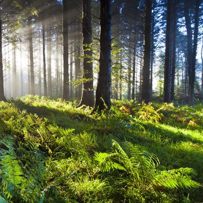 NG南宫28官网登录截图