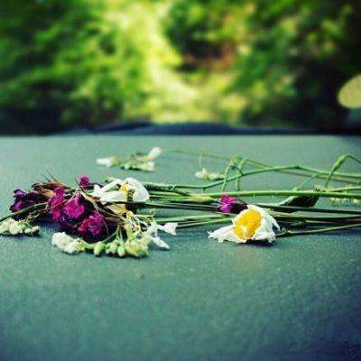 NG南宫28官网登录截图