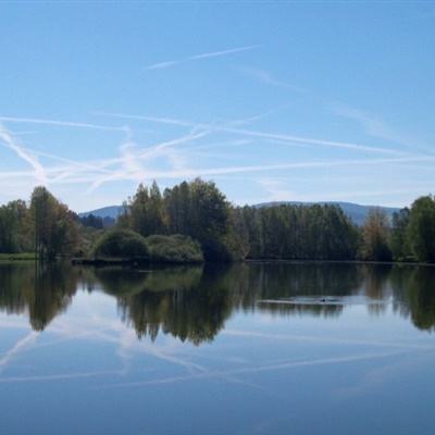 澳门人威尼斯3966