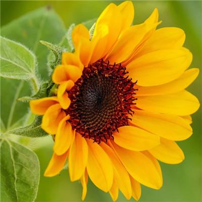 开元ky888vip手机app下载